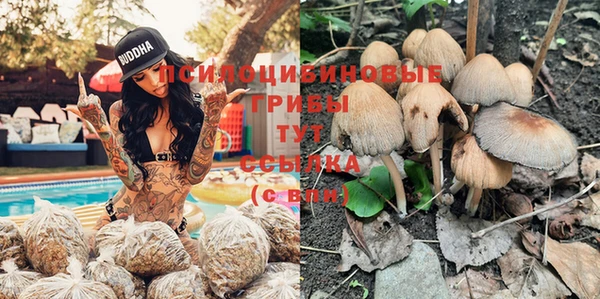 MESCALINE Арсеньев