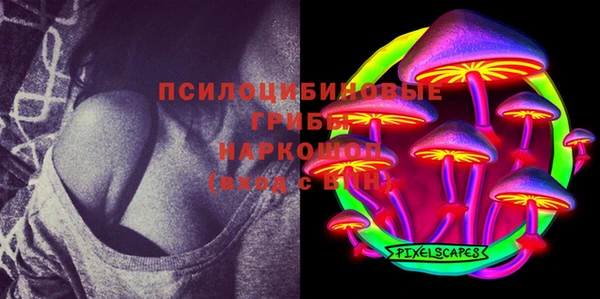 молекула духа Аркадак