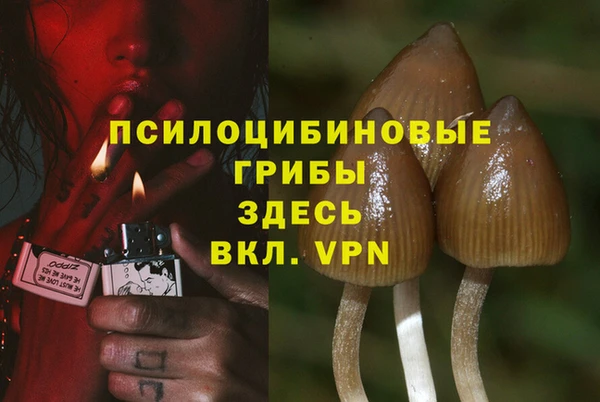 ешки Армянск