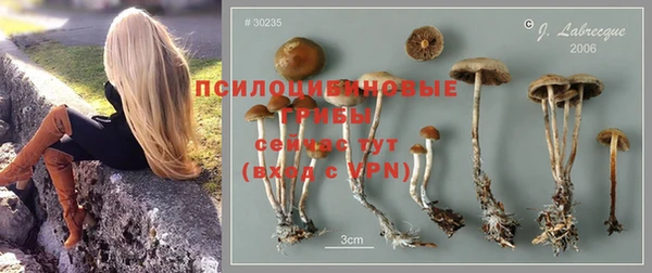 MESCALINE Арсеньев